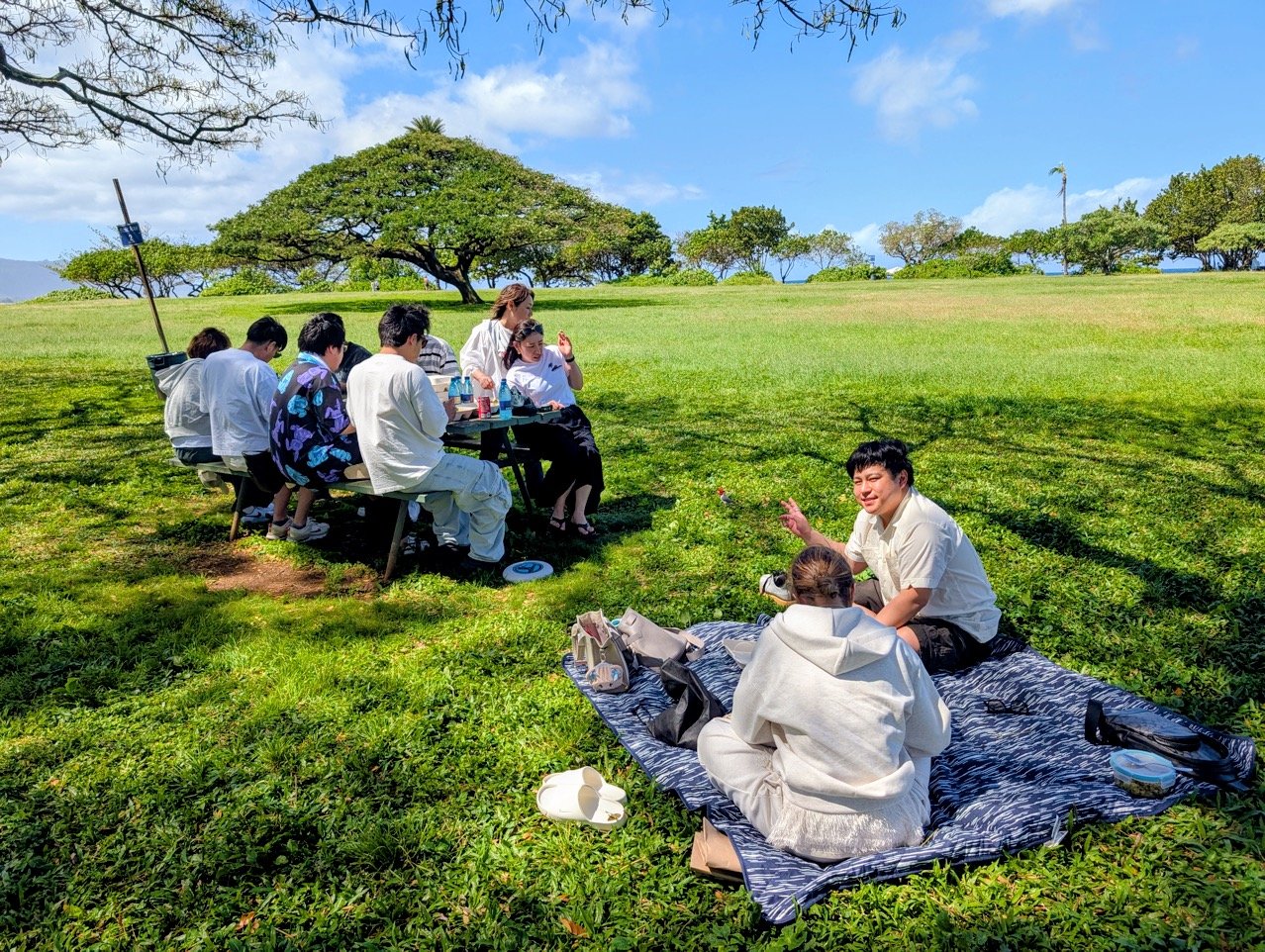 ビーチパーク ピクニック グループツアー