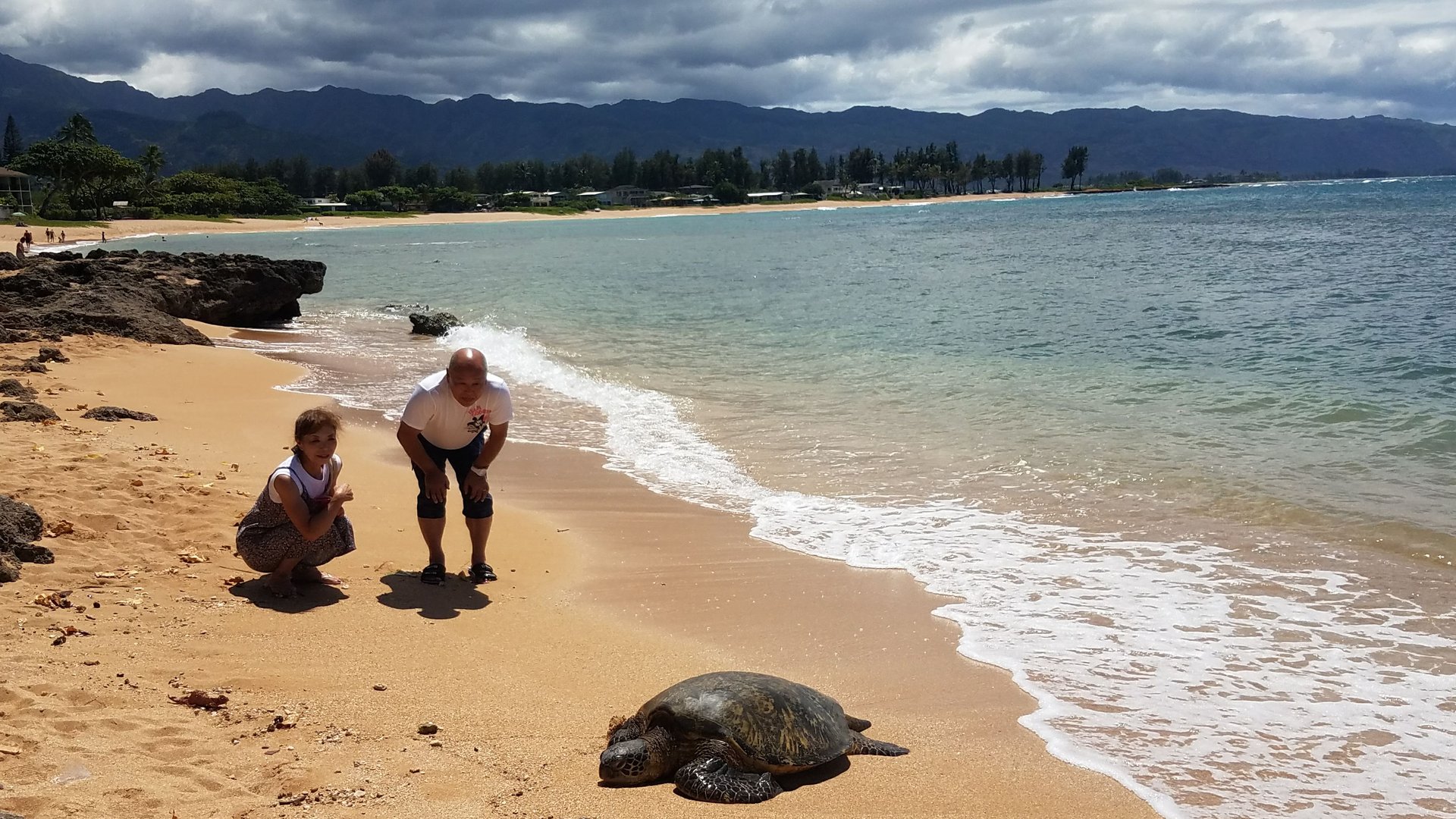 家族でウミガメを観察